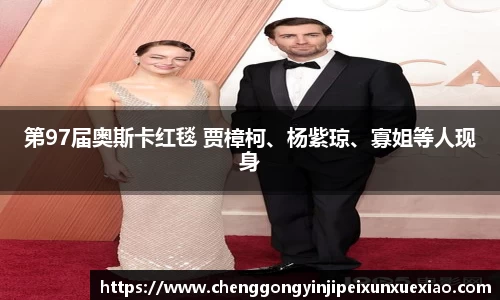 ng28南宫第97届奥斯卡红毯 贾樟柯、杨紫琼、寡姐等人现身